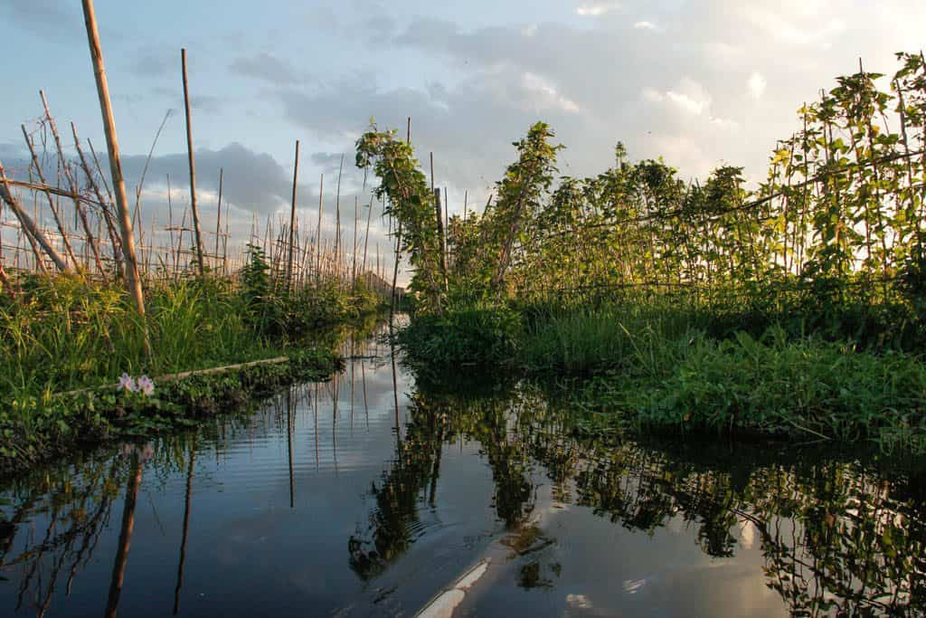 sunset on the floating gardens in inle lake myanmar