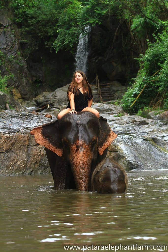 a girl on the back of an elephant in the river