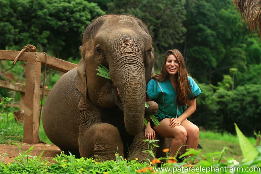 a smiling girl sitting next to an elephant