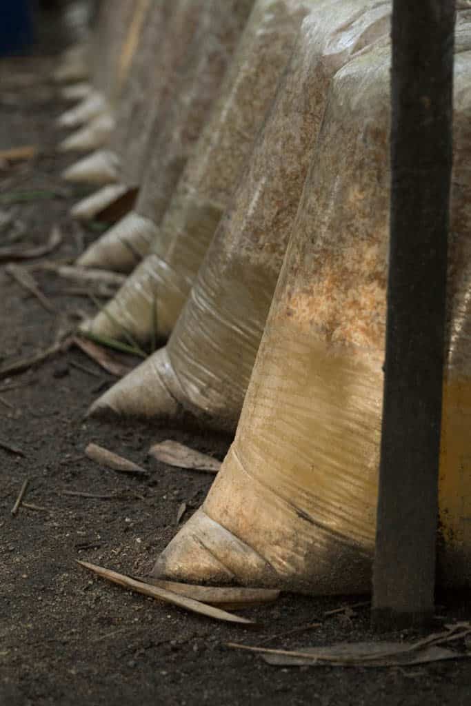 local rice wine factory in myanmar