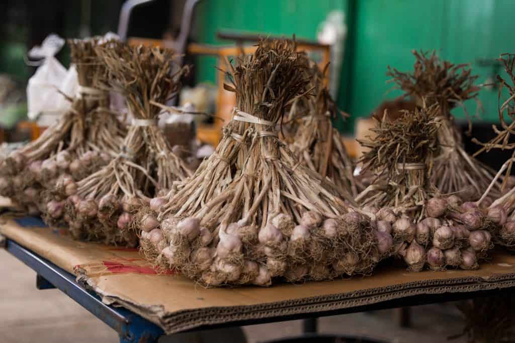 fresh garlic in myanmar market