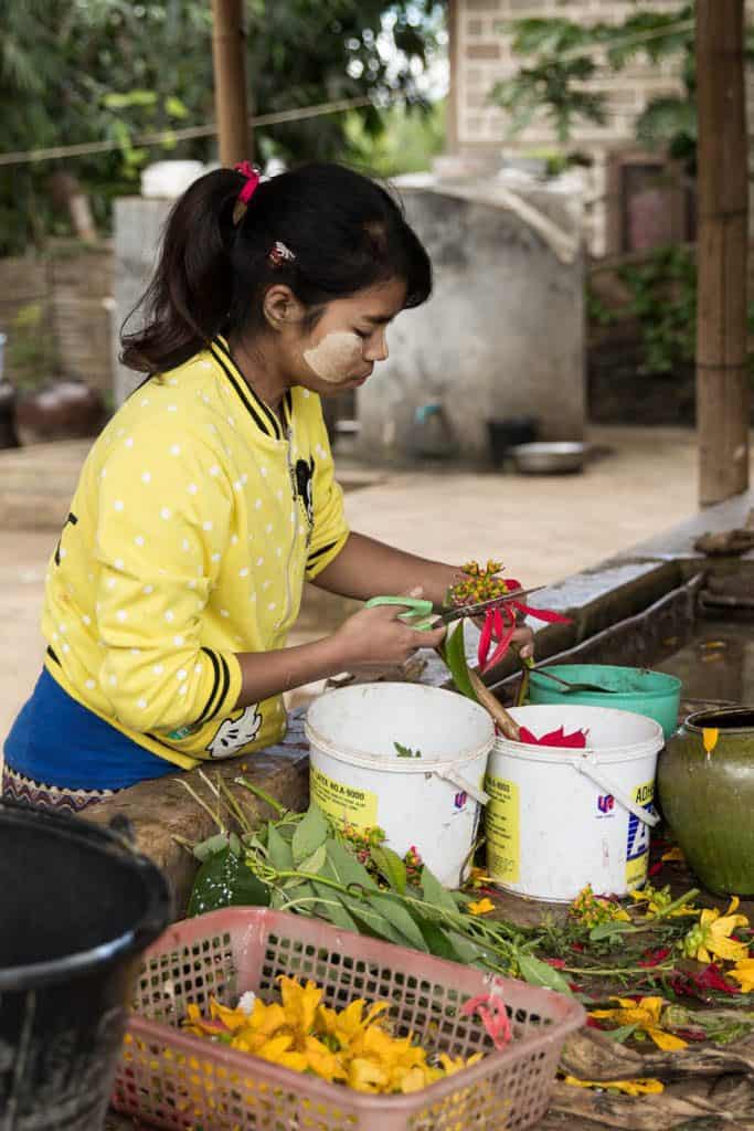 Girl cutting flowers for rice paper