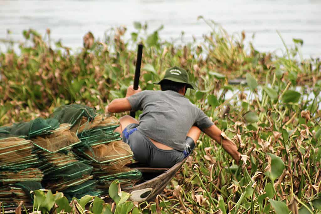 man putting fish traps in Vetnam