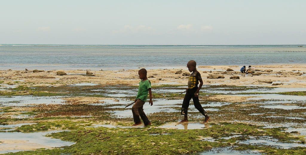 ילדים בחוף זנזיבר