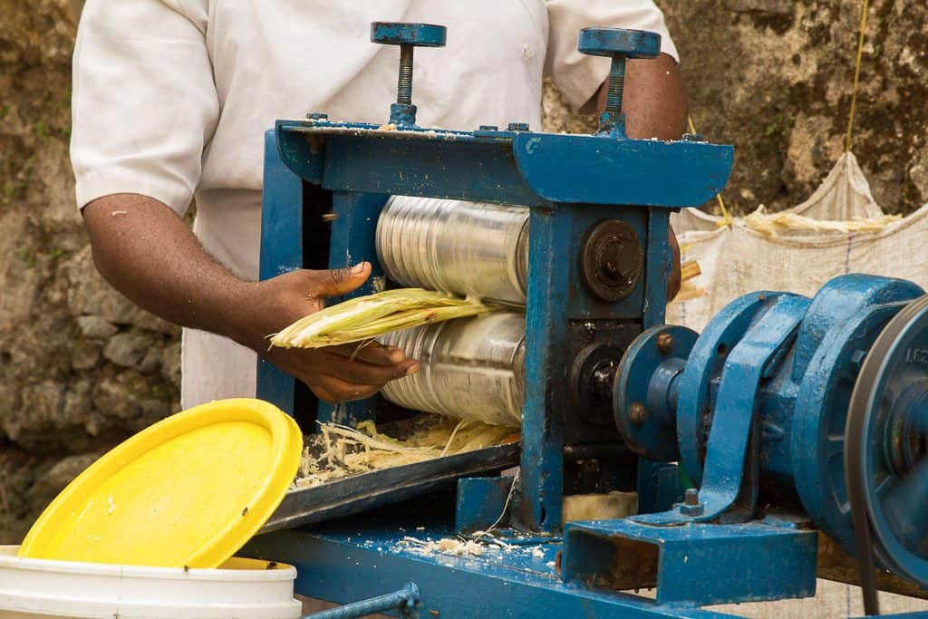 squeezing sugar cane with a machine