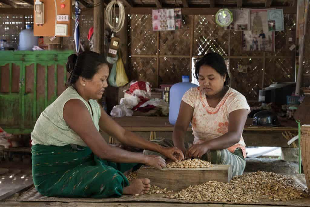 two women peeling peanuts Myanmar