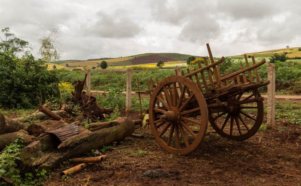 Wooden cart and around it agricultural fields