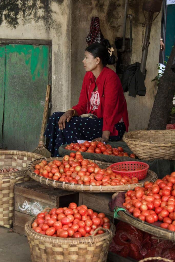 מוכרת עגבניות בשווקים של מיאנמר בורמה