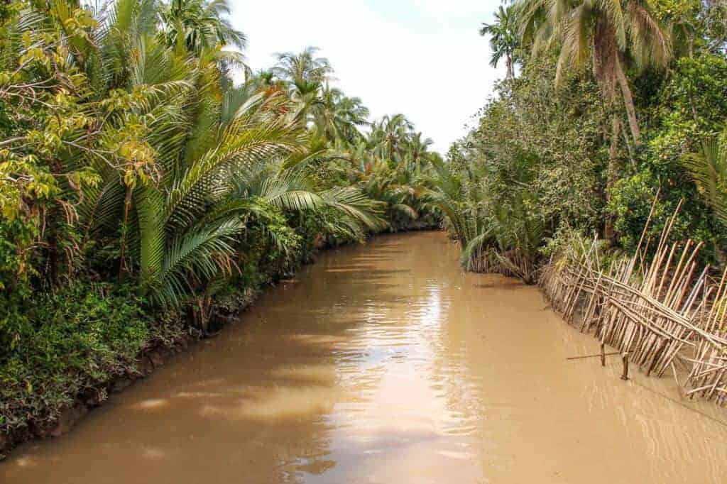 View of the Mekong Delta