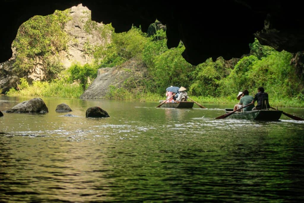 A view of the river and plants from inside the cave