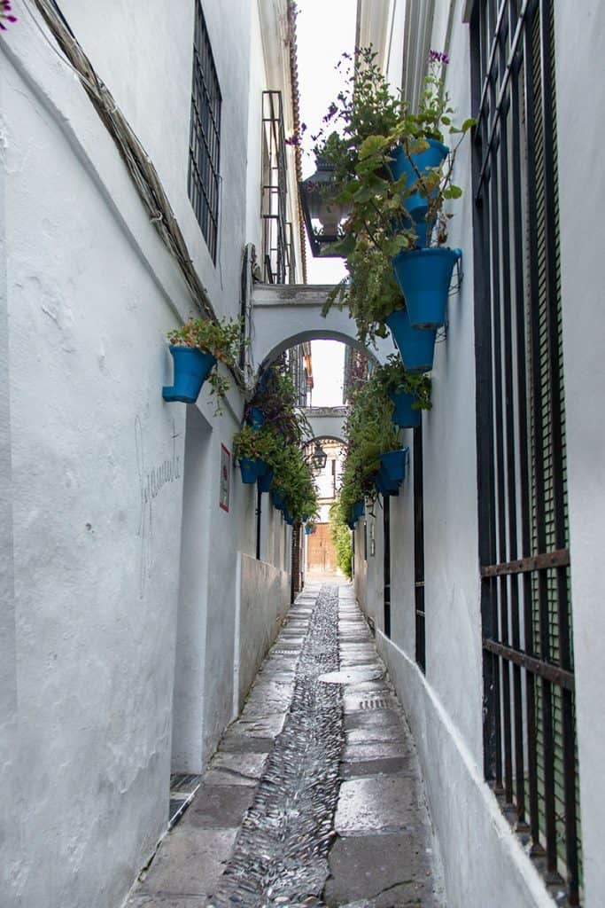 cordoba's white alleys