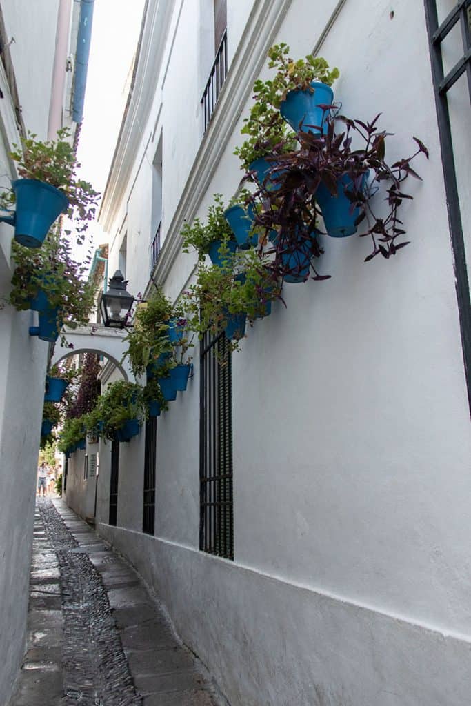 white alley in codoba old town