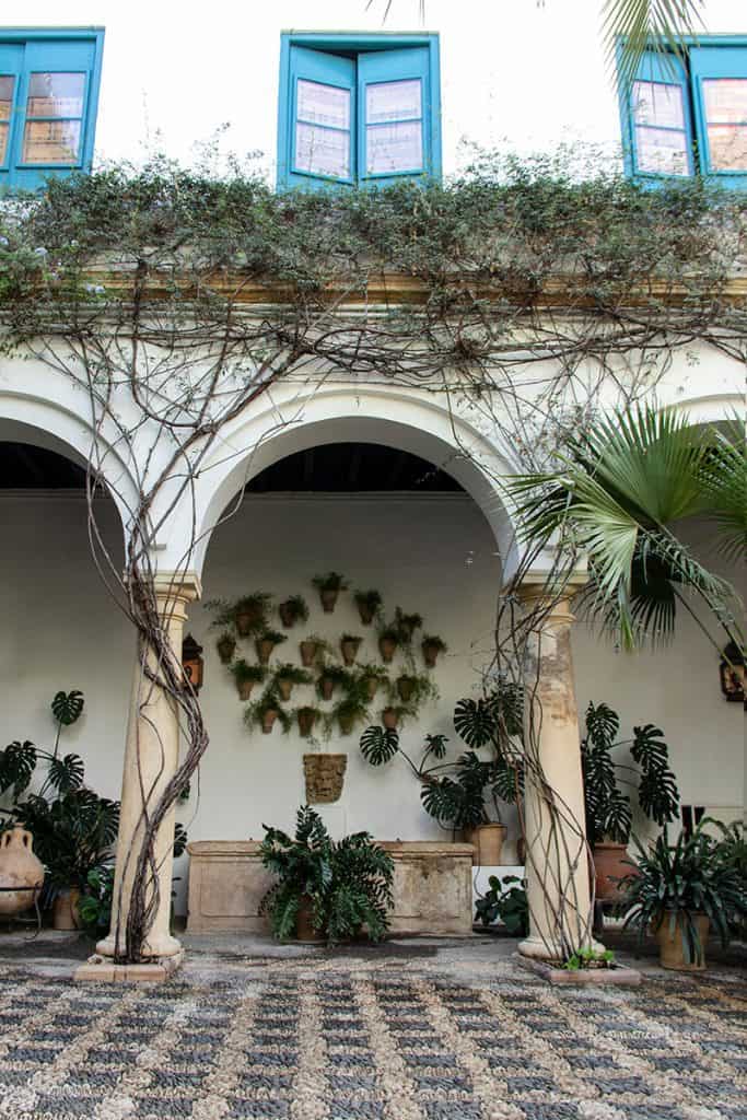 cordoba's patio