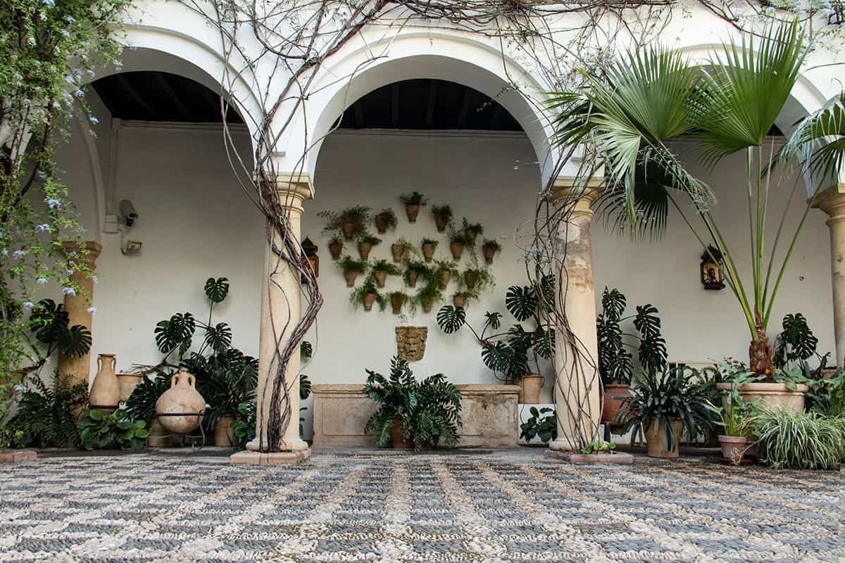 patio in cordoba