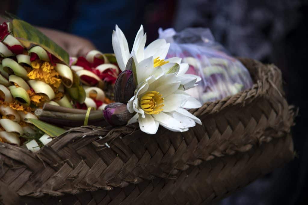 baskets with flowers