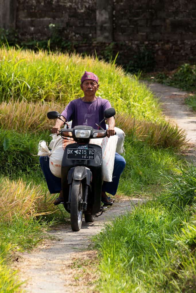 a farmer on a motorbike in Bali