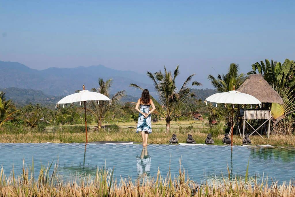 a woman is watcing the rice fields view in Munduk