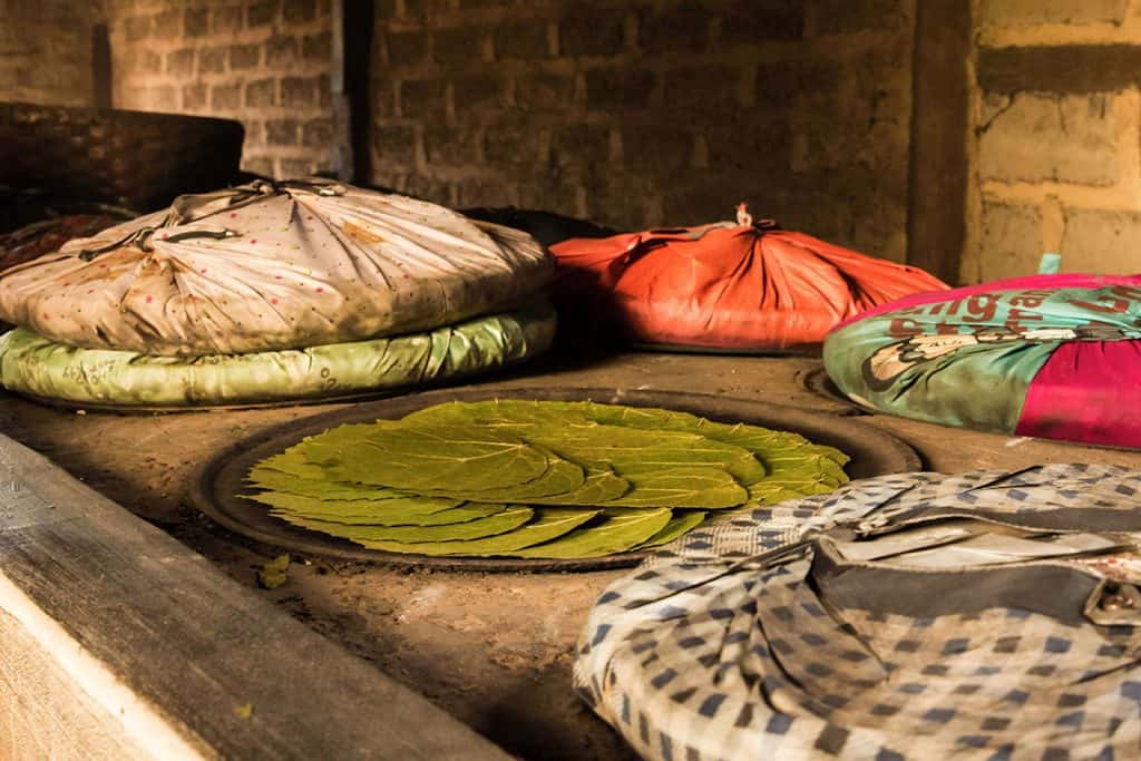 cigar leaves drying in a special technique in Myanmar