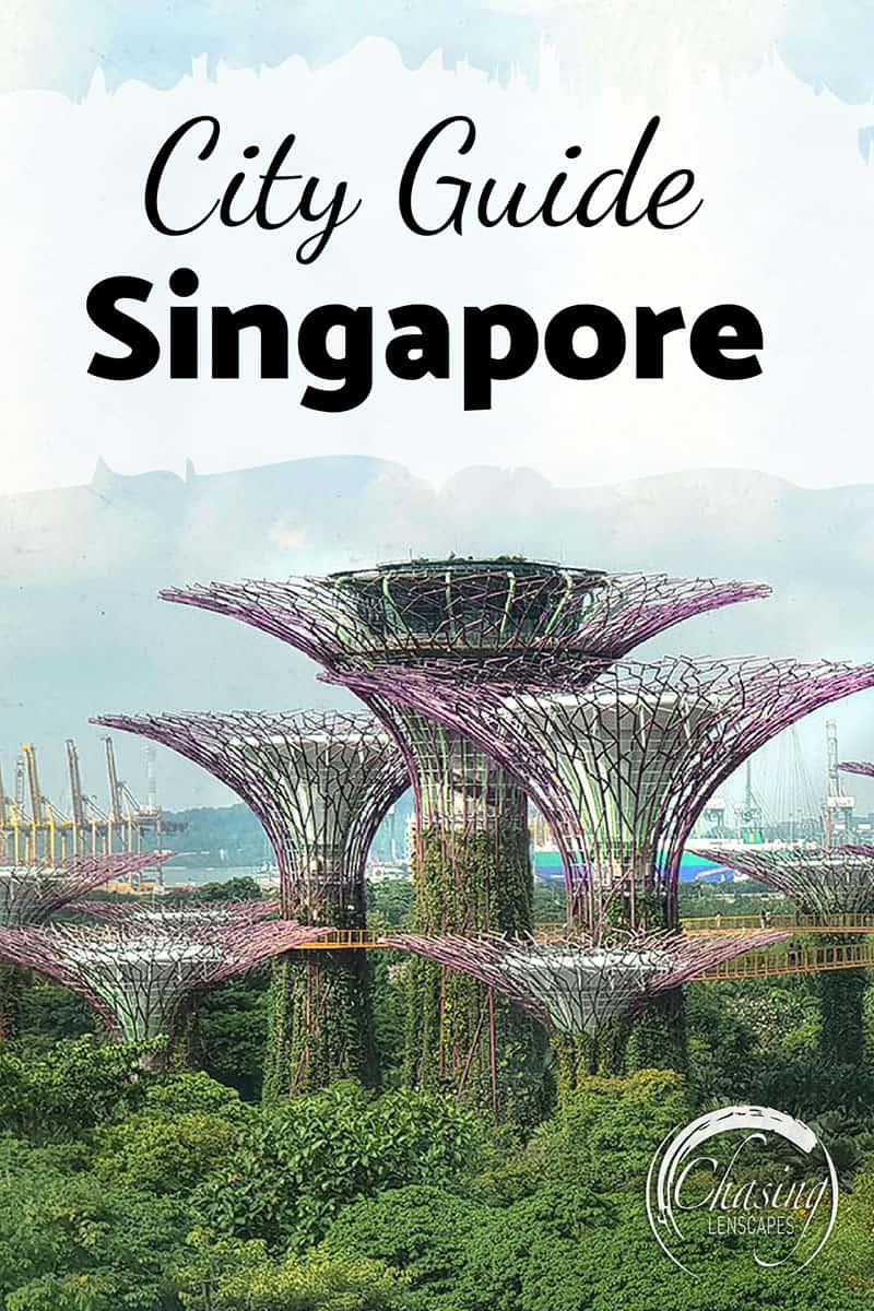 Supertree Grove in Gardens by the Bay