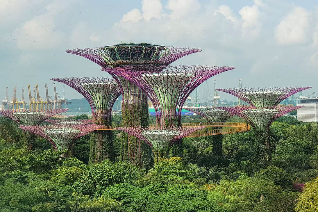 Singapore supertree grove in garden b the bay