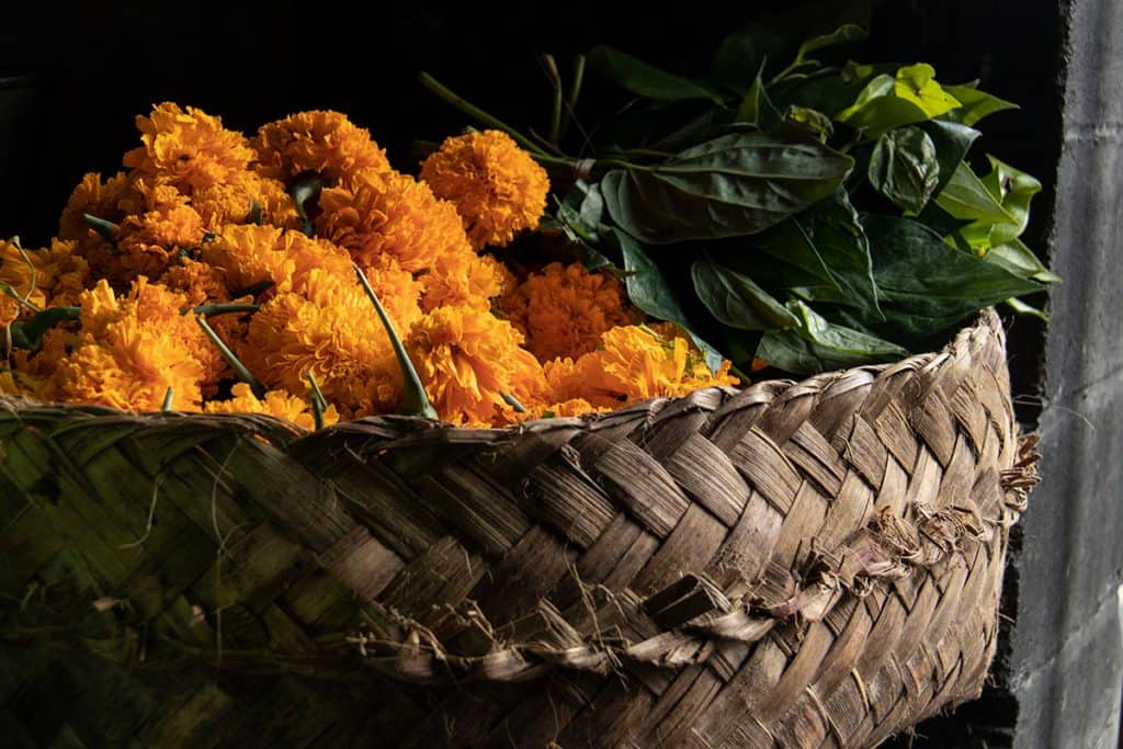 flowers in Bali's market