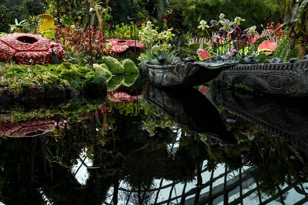 The cloud forest in Singapore