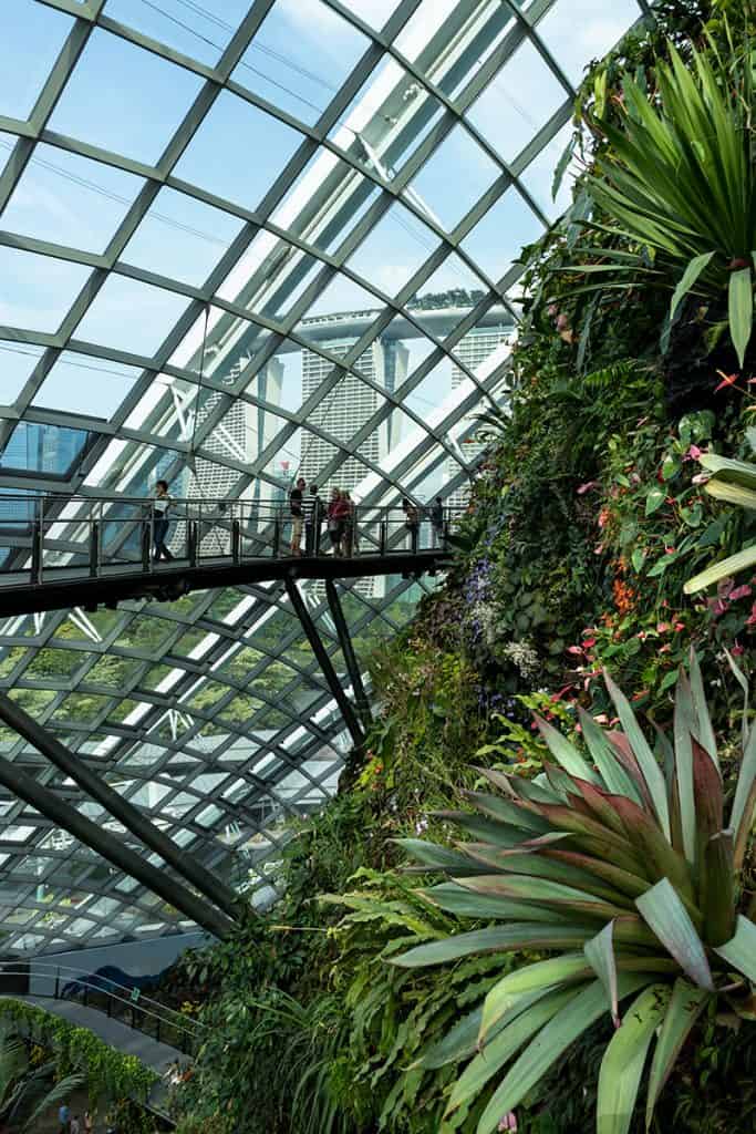 the Cloud Forest in Singapore