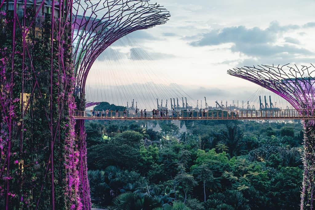Supertree Grove in singapore