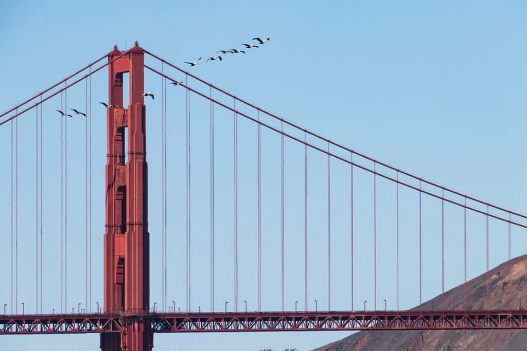 The Golden Gate Bridge - San Francisco Itinerary