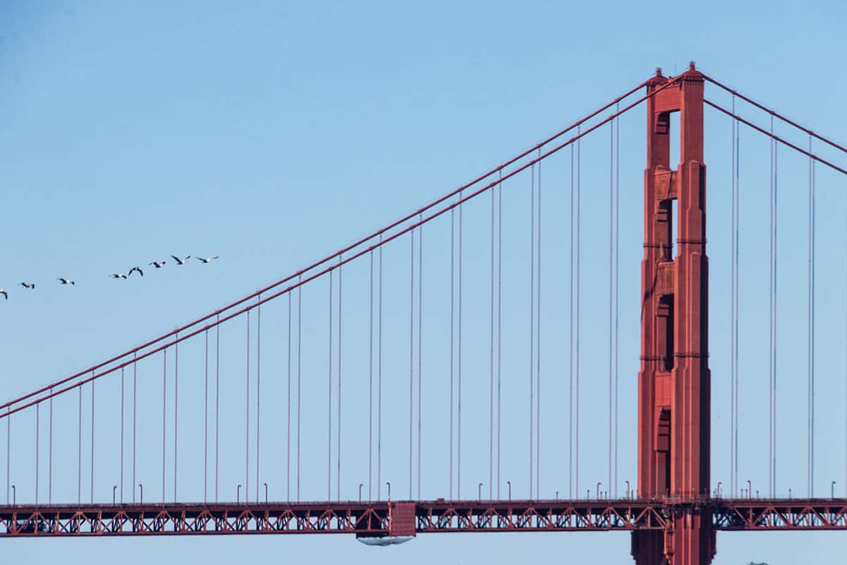 The Golden Gate Bridge - San Francisco 2-day Itinerary