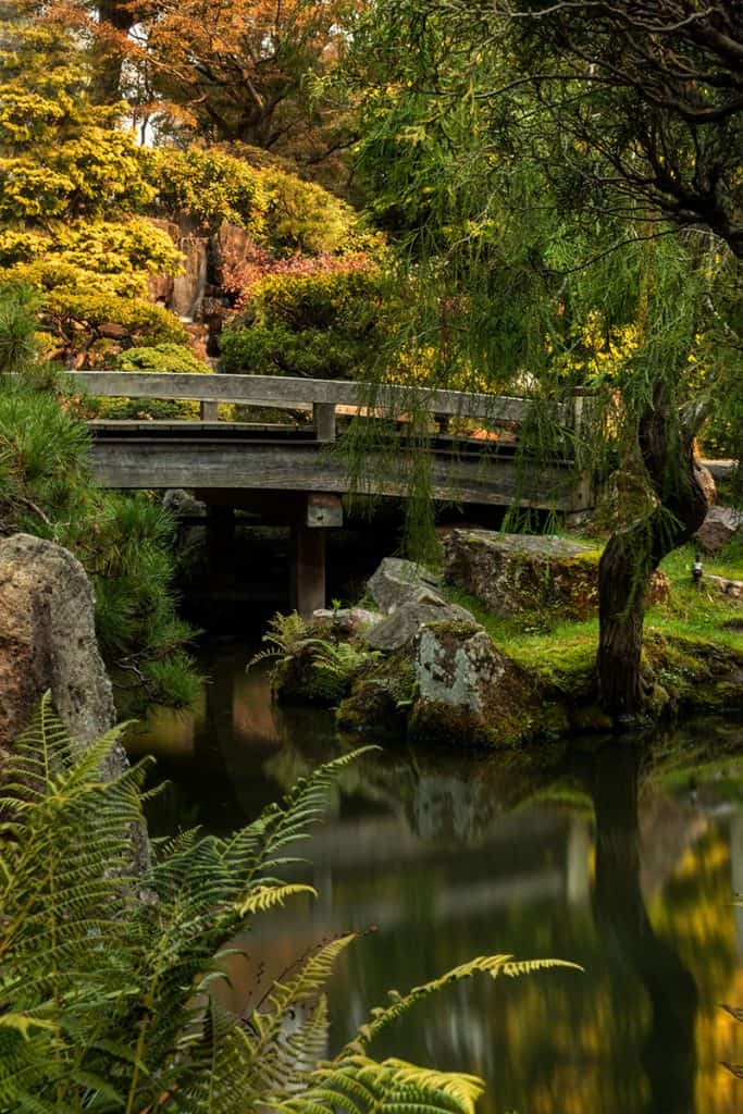 Japanese garden - things to do in San Francisco