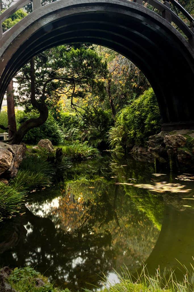 Long exposure shot of the pond at the Japanese Garden