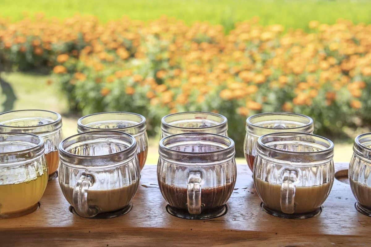 cups of flavored coffee in one of Bali's coffee plantations