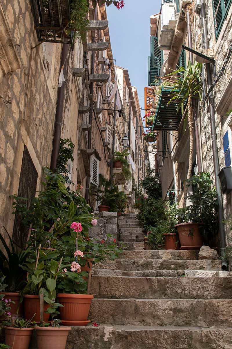 Photgenic alley in Dubrovnik's historic center