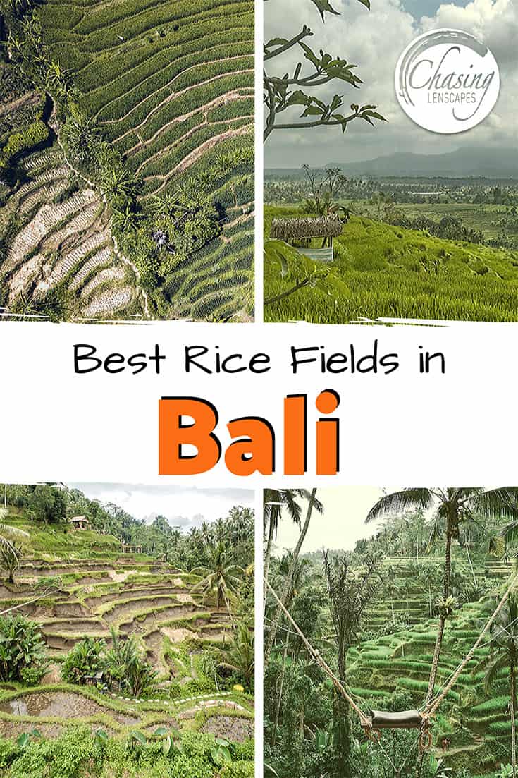 Best rice fields in Bali