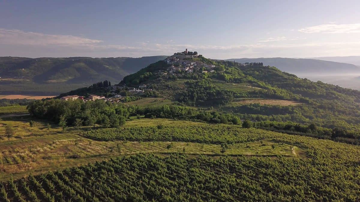 A village on a hill surrounded by vineyards