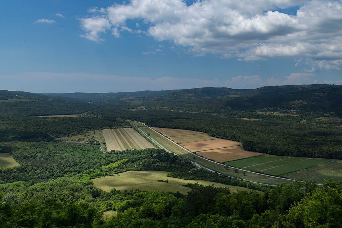 View of agricultural land