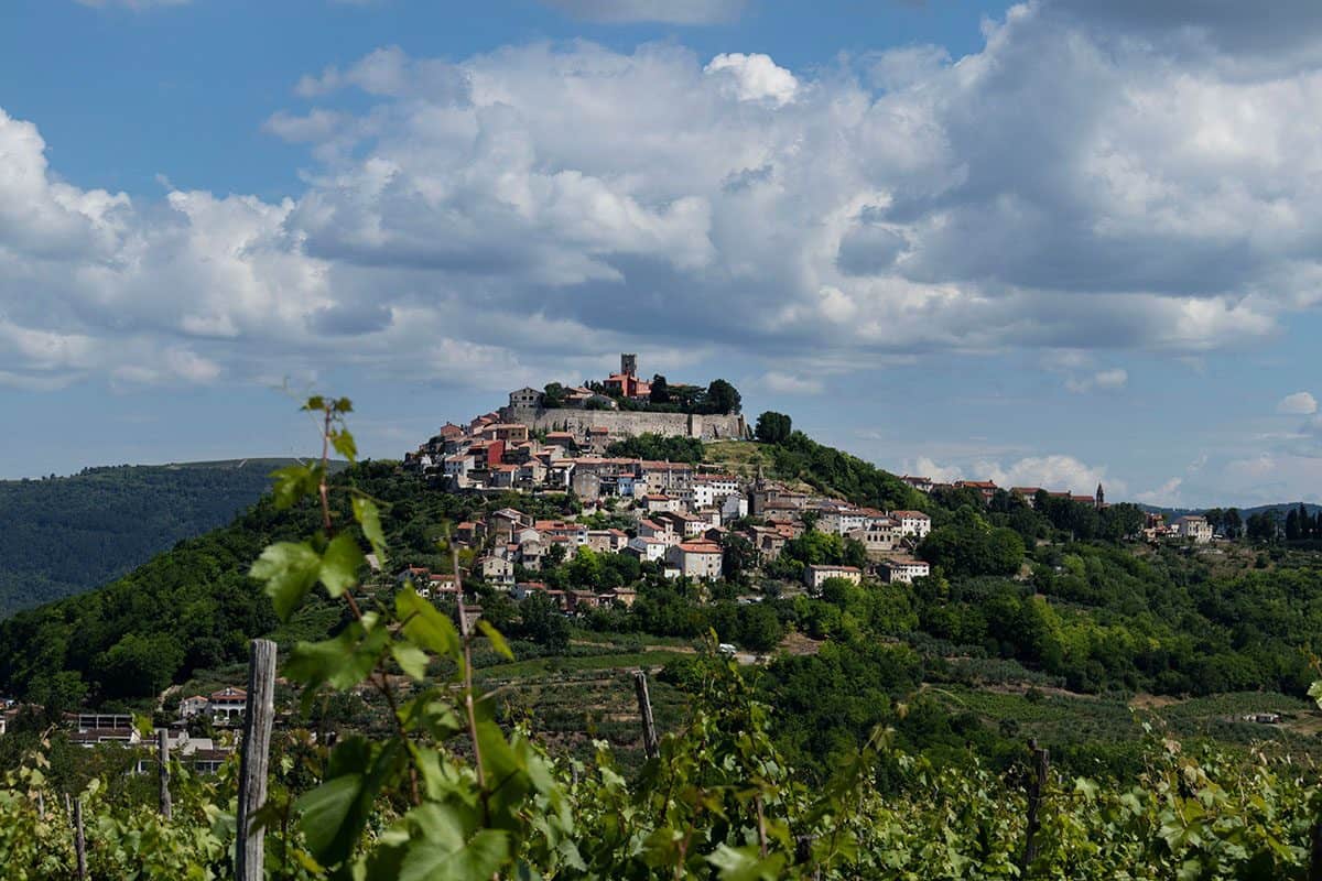 An ancient village on a hill surrounded by vineyards