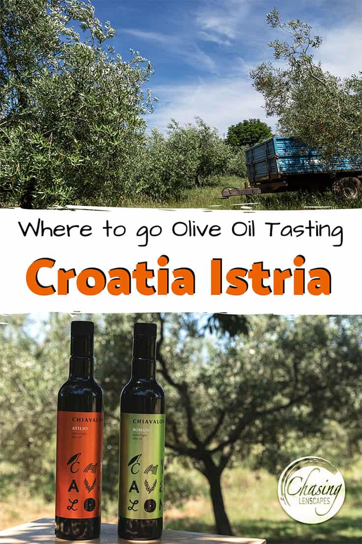 Istria oilve oil tasting - a view of olive groves and olive oil bottles.