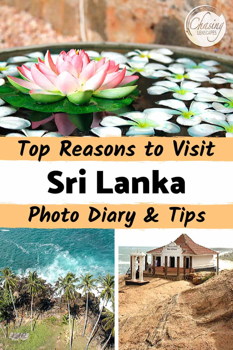 views of ocean, temples and flowers in Sri Lanka