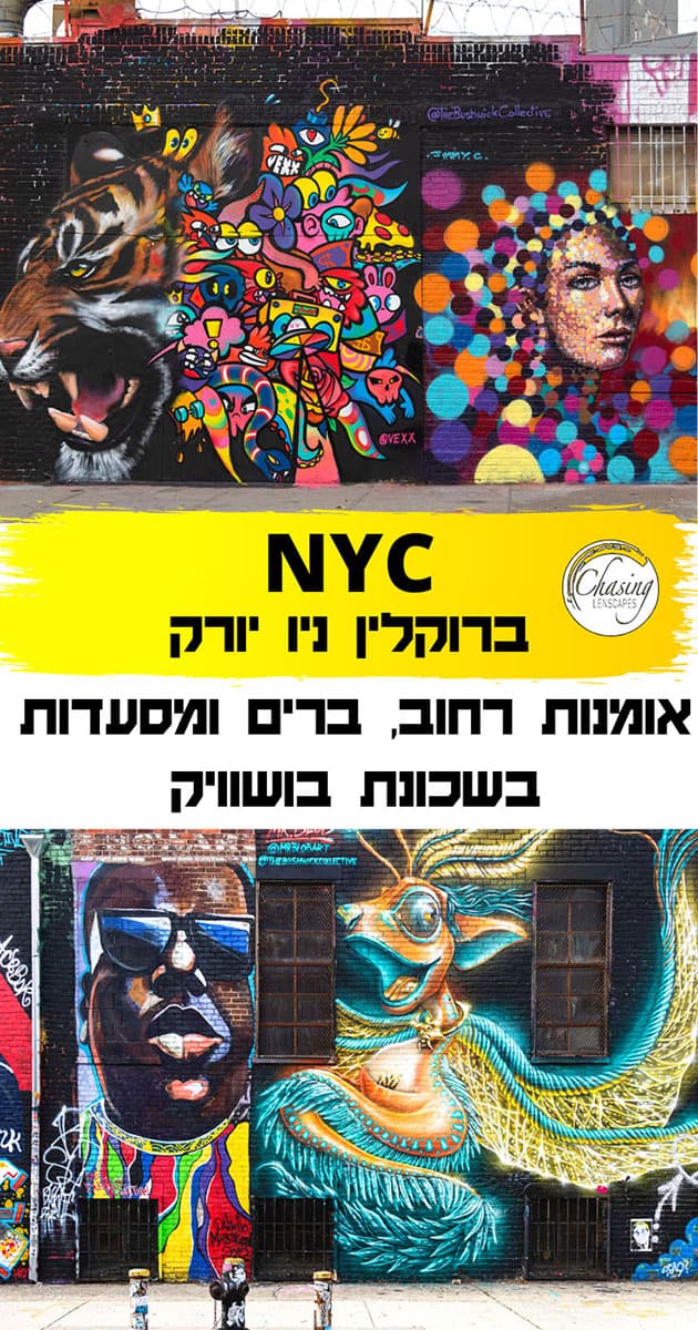 ברוקלין ניו יורק, אטרקציות בשכונת בושוויק