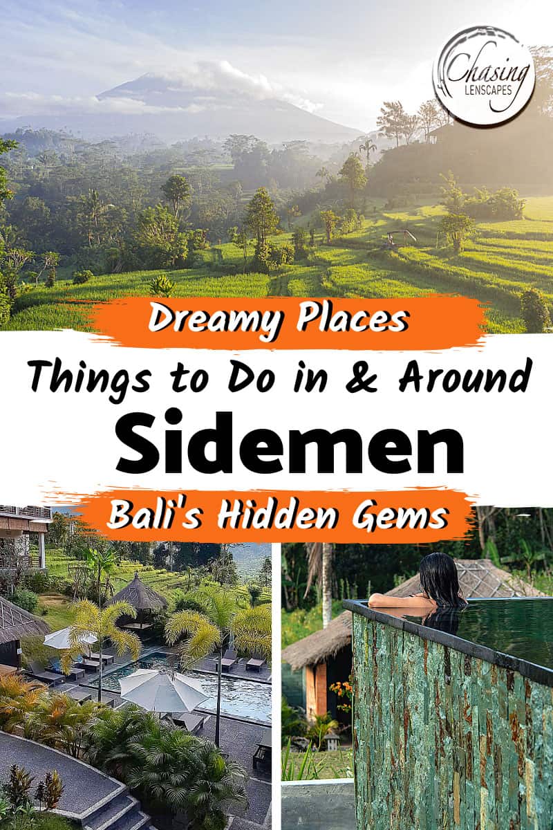 Rice fields, hotel and infinity pool in Sidemen Bali