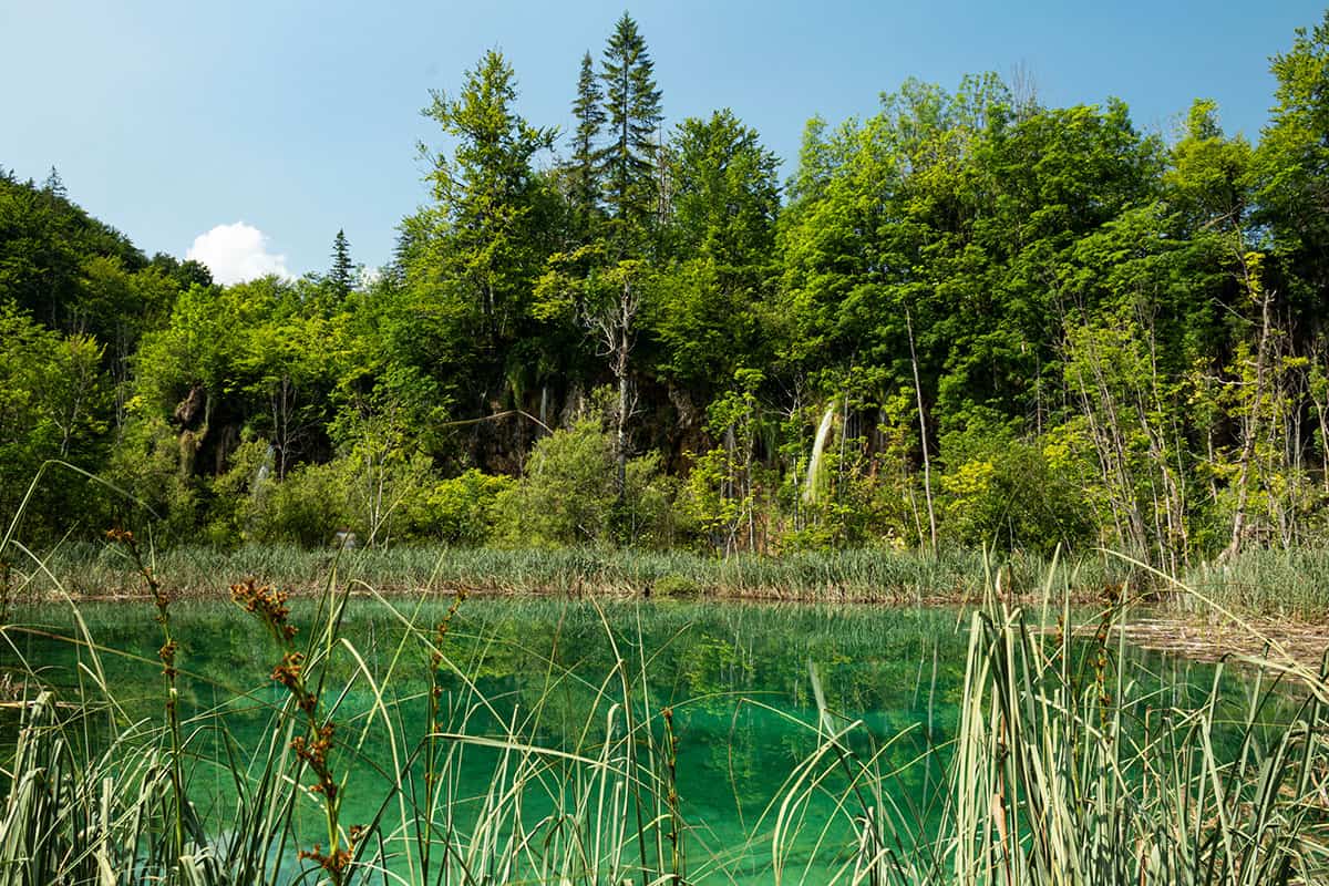 Green View in Plitvice Lakes Croatia