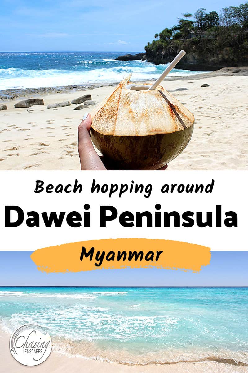 fresh coconut on the beaches of Dawei Peninsula in Myanmar