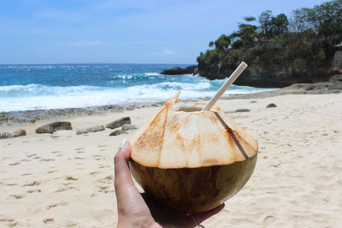Coconut in Dawei beach Myanmar