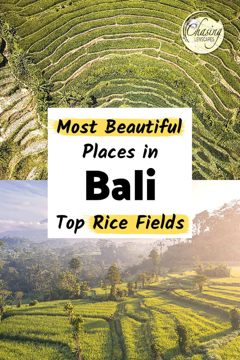 top Bali rice fields in Sidemen and Munduk