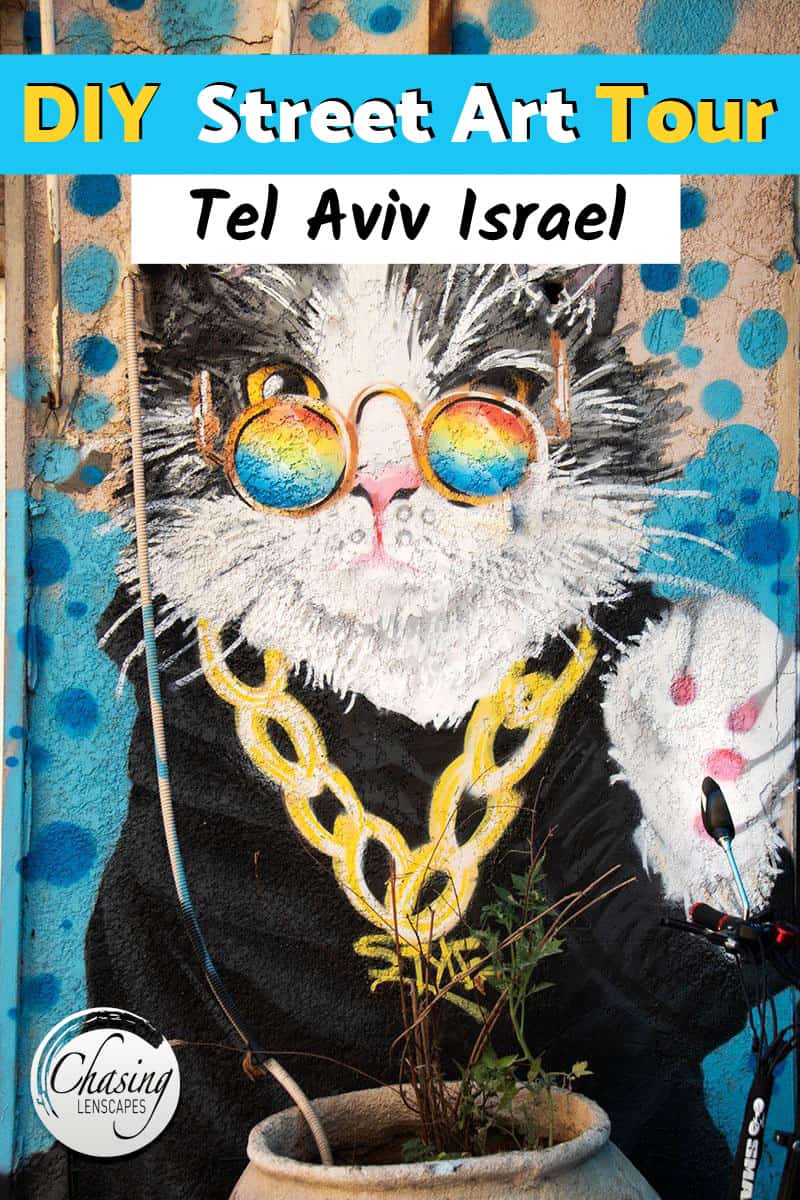 A mural of a cool cat in Tel Aviv Street Art Tour