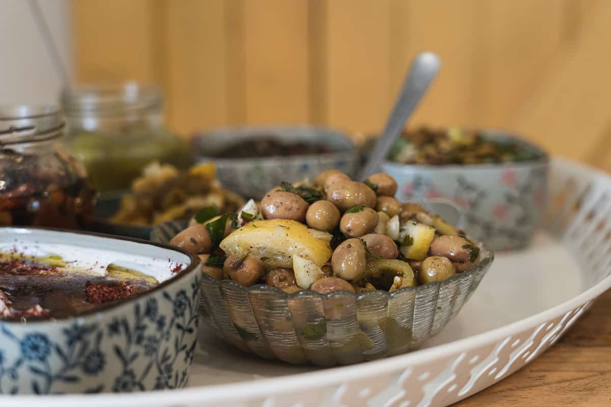 פיקניק במטה יהודה