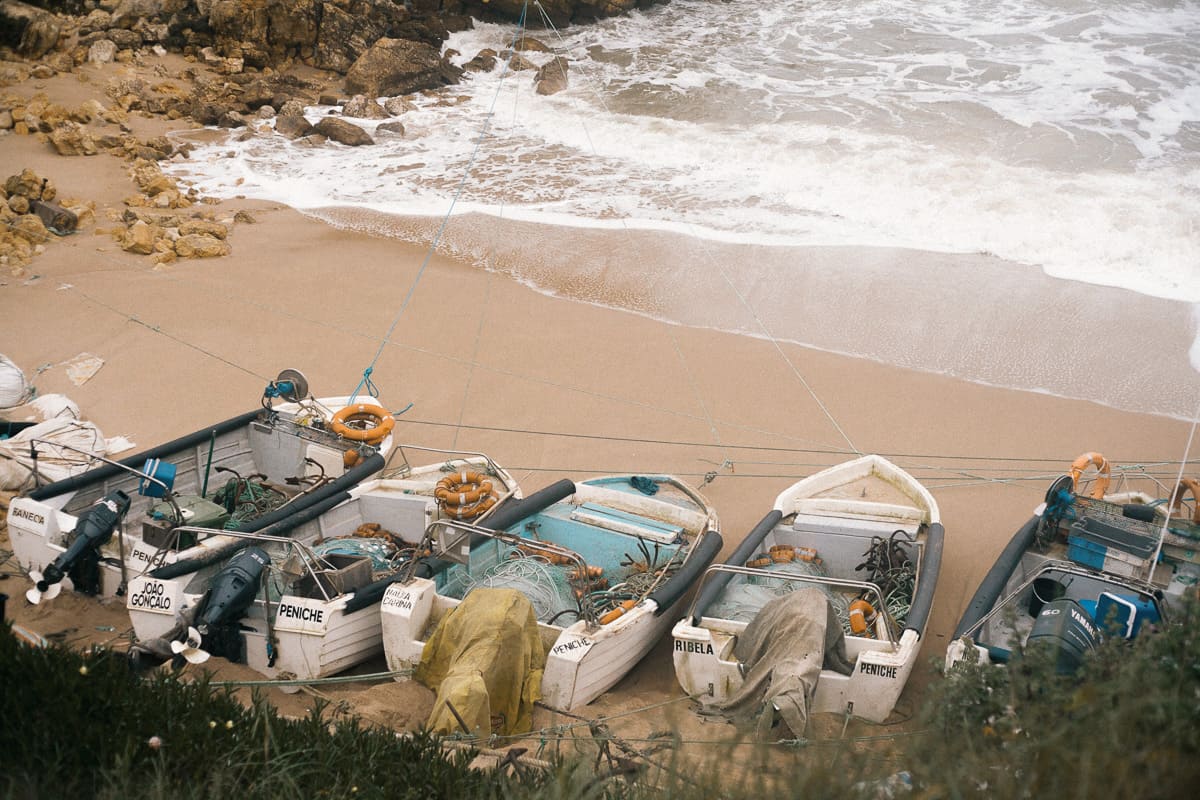 Fishing boats in portugal