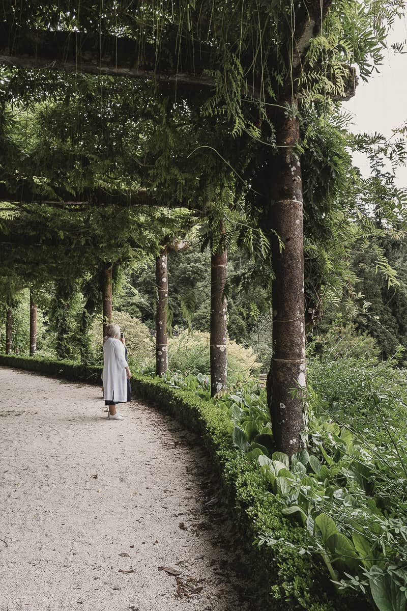 Bussaco Palace's gardens in Portugal